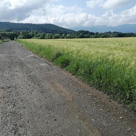 Domki Sowi Kamien Lomnica  Dış mekan fotoğraf