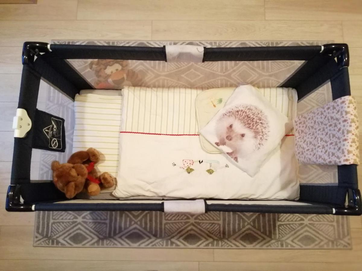 Domki Sowi Kamien Lomnica  Dış mekan fotoğraf