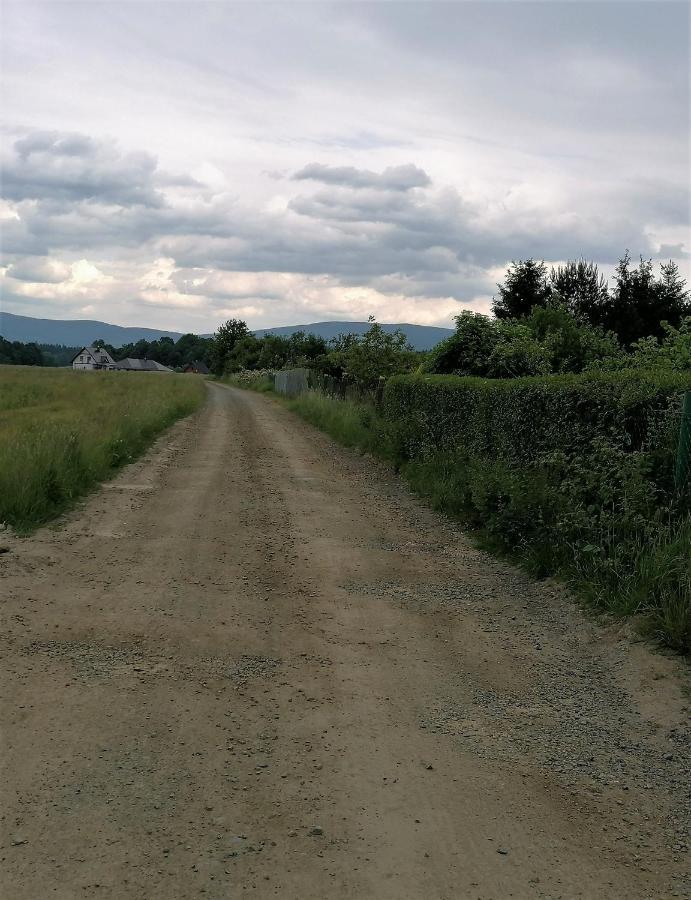Domki Sowi Kamien Lomnica  Dış mekan fotoğraf